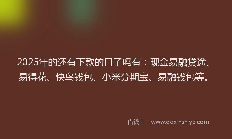 2025年的还有下款的口子吗有：现金易融贷途、易得花、快鸟钱包、小米分期宝、易融钱包等。