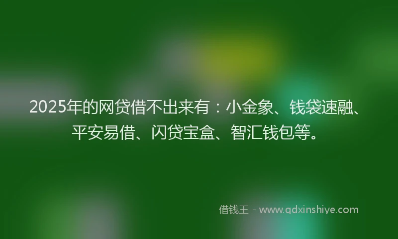 2025年的网贷借不出来有：小金象、钱袋速融、平安易借、闪贷宝盒、智汇钱包等。