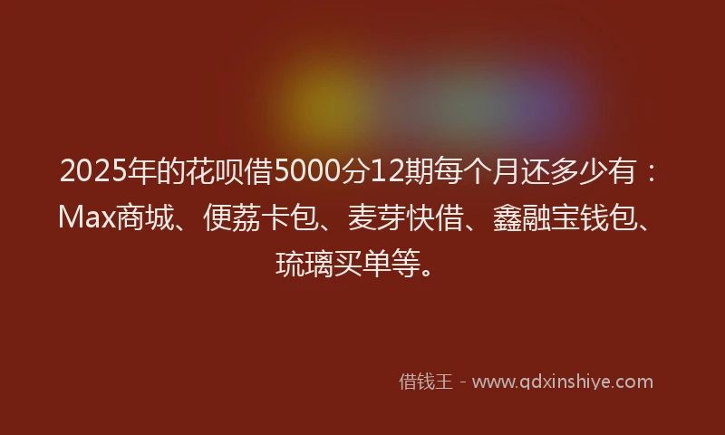 2025年的花呗借5000分12期每个月还多少有：Max商城、便荔卡包、麦芽快借、鑫融宝钱包、琉璃买单等。