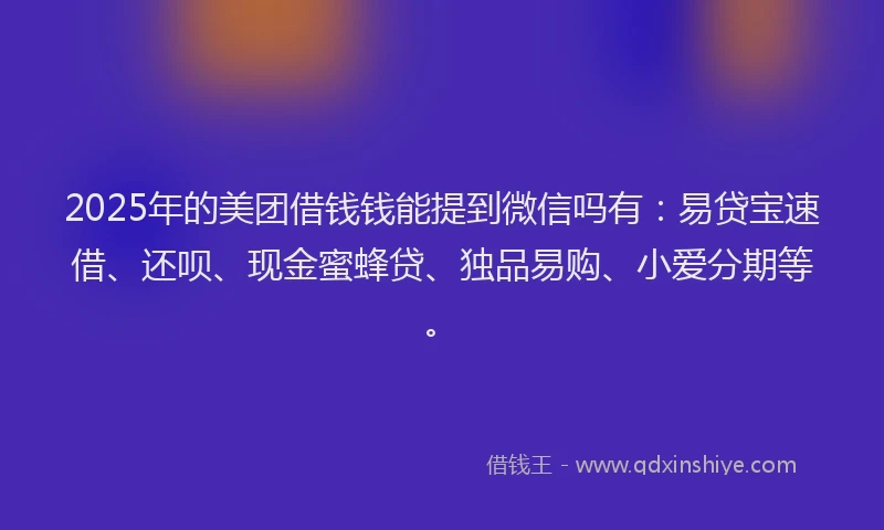 2025年的美团借钱钱能提到微信吗有：易贷宝速借、还呗、现金蜜蜂贷、独品易购、小爱分期等。