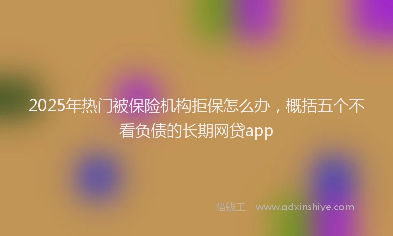 2025年热门被保险机构拒保怎么办，概括五个不看负债的长期网贷app