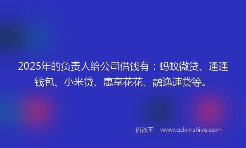 2025年的负责人给公司借钱有：蚂蚁微贷、通通钱包、小米贷、惠享花花、融逸速贷等。