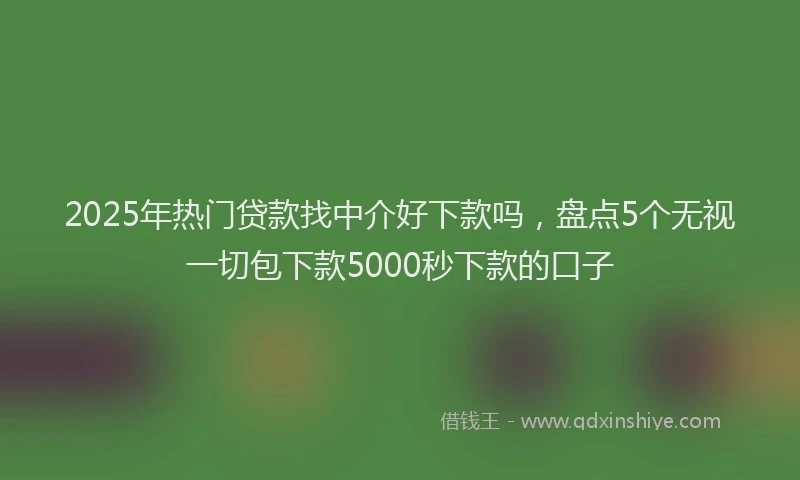 2025年热门贷款找中介好下款吗，盘点5个无视一切包下款5000秒下款的口子