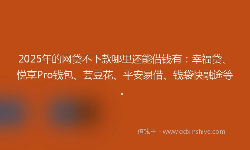 2025年的网贷不下款哪里还能借钱有：幸福贷、悦享Pro钱包、芸豆花、平安易借、钱袋快融途等。