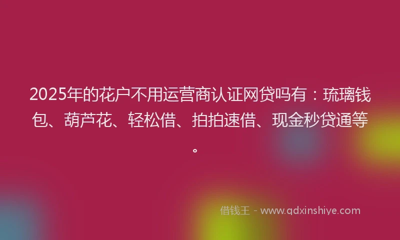 2025年的花户不用运营商认证网贷吗有：琉璃钱包、葫芦花、轻松借、拍拍速借、现金秒贷通等。