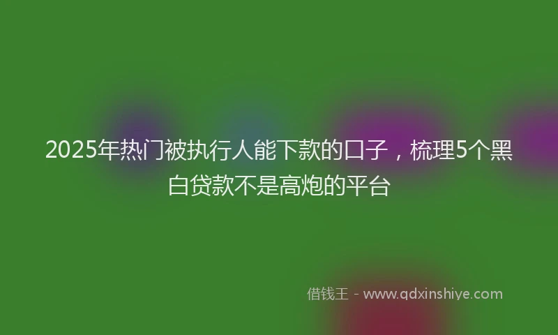 2025年热门被执行人能下款的口子，梳理5个黑白贷款不是高炮的平台