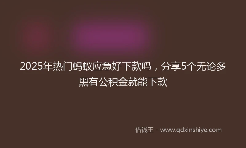 2025年热门蚂蚁应急好下款吗，分享5个无论多黑有公积金就能下款