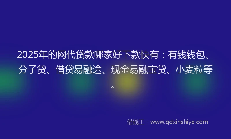 2025年的网代贷款哪家好下款快有：有钱钱包、分子贷、借贷易融途、现金易融宝贷、小麦粒等。