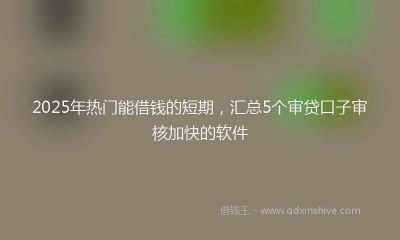 2025年热门能借钱的短期，汇总5个审贷口子审核加快的软件