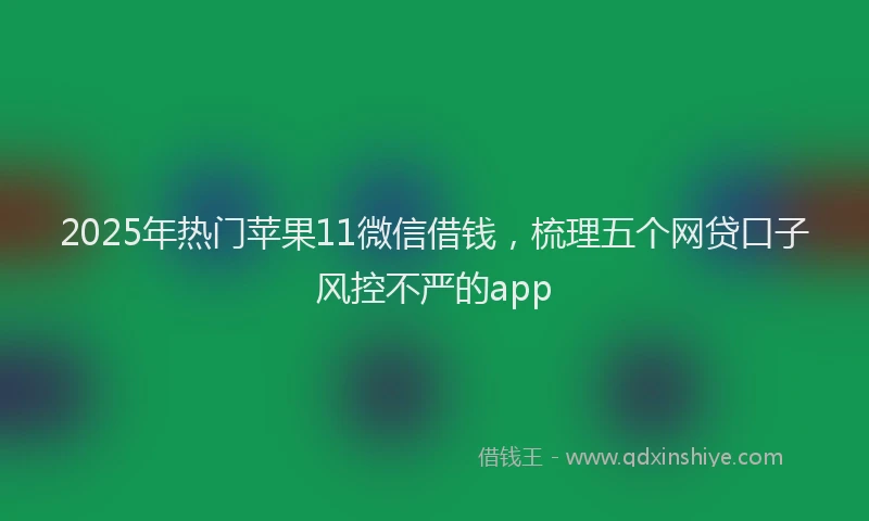 2025年热门苹果11微信借钱，梳理五个网贷口子风控不严的app