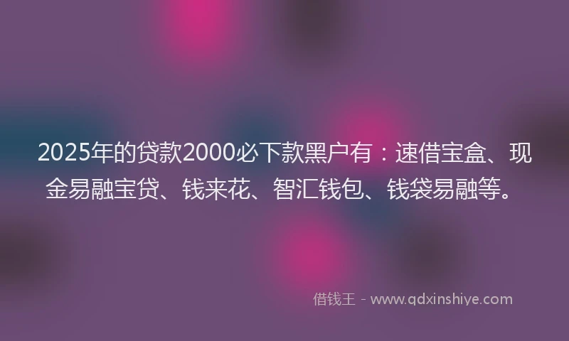 2025年的贷款2000必下款黑户有：速借宝盒、现金易融宝贷、钱来花、智汇钱包、钱袋易融等。