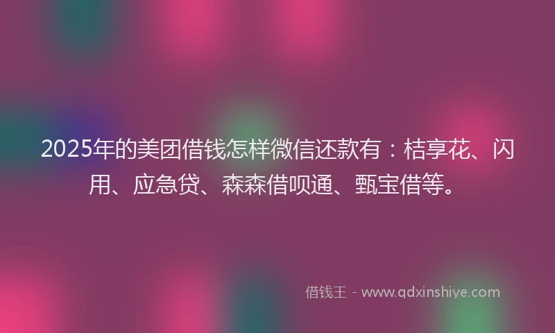 2025年的美团借钱怎样微信还款有：桔享花、闪用、应急贷、森森借呗通、甄宝借等。