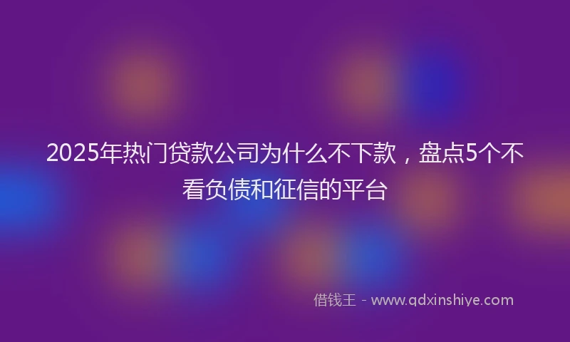2025年热门贷款公司为什么不下款，盘点5个不看负债和征信的平台