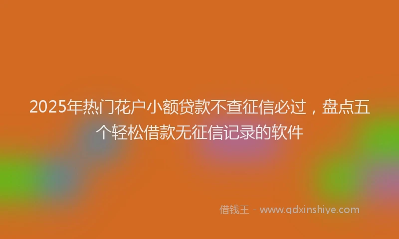 2025年热门花户小额贷款不查征信必过，盘点五个轻松借款无征信记录的软件