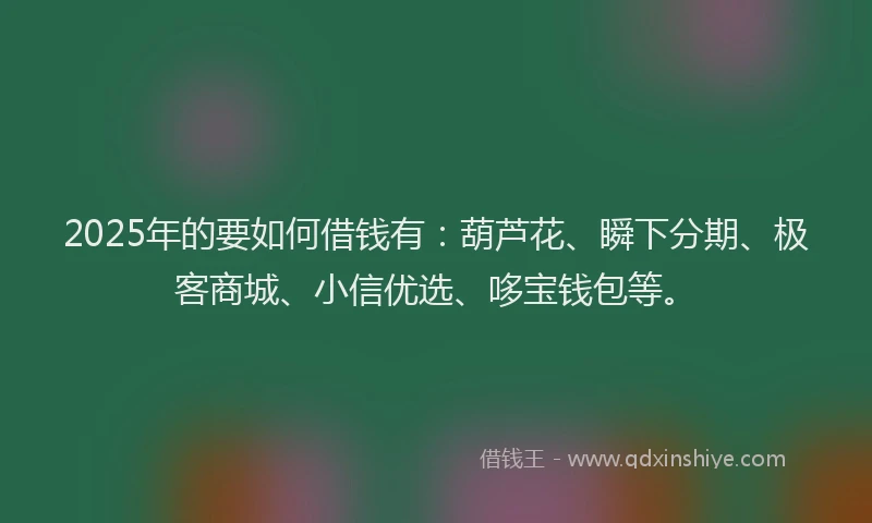 2025年的要如何借钱有：葫芦花、瞬下分期、极客商城、小信优选、哆宝钱包等。