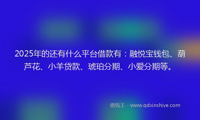 2025年的还有什么平台借款有：融悦宝钱包、葫芦花、小羊贷款、琥珀分期、小爱分期等。