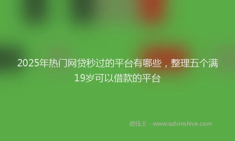 2025年热门网贷秒过的平台有哪些，整理五个满19岁可以借款的平台