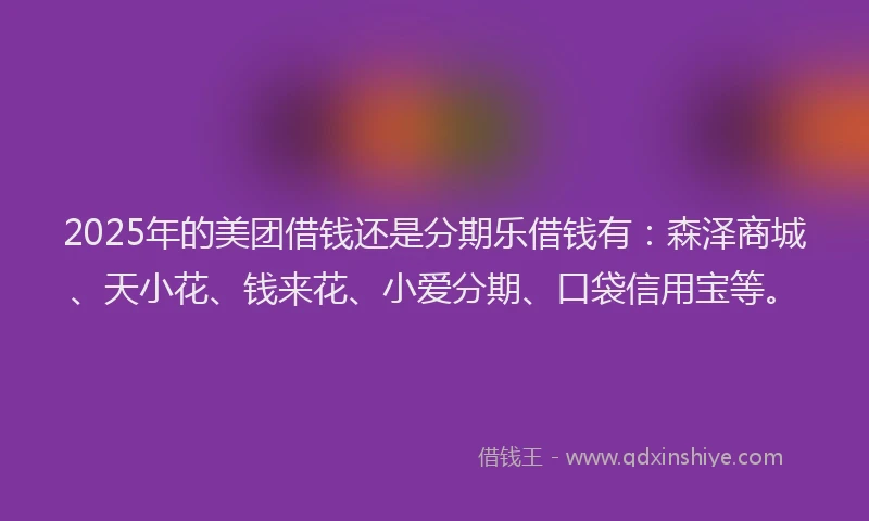 2025年的美团借钱还是分期乐借钱有：森泽商城、天小花、钱来花、小爱分期、口袋信用宝等。