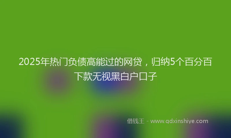 2025年热门负债高能过的网贷，归纳5个百分百下款无视黑白户口子