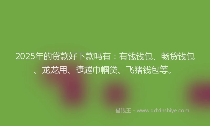 2025年的贷款好下款吗有：有钱钱包、畅贷钱包、龙龙用、捷越巾帼贷、飞猪钱包等。
