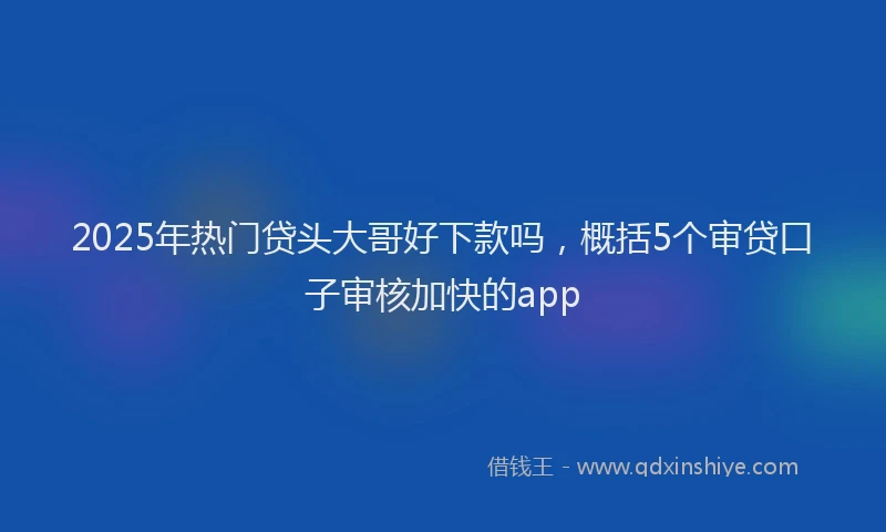 2025年热门贷头大哥好下款吗，概括5个审贷口子审核加快的app