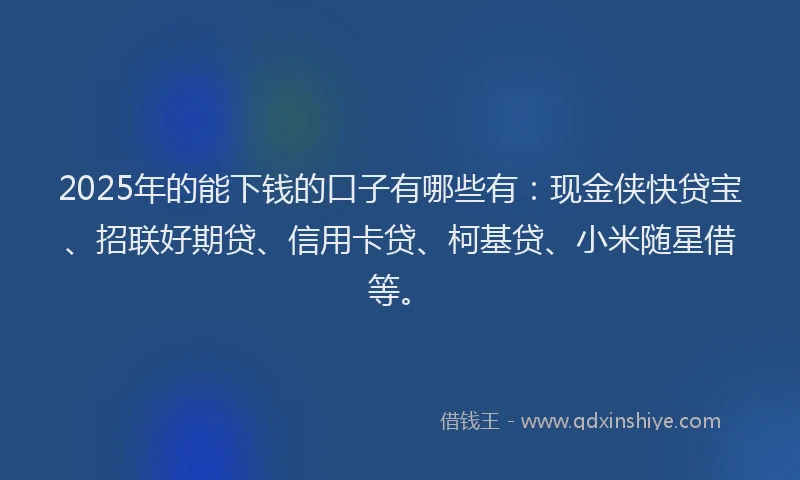2025年的能下钱的口子有哪些有：现金侠快贷宝、招联好期贷、信用卡贷、柯基贷、小米随星借等。