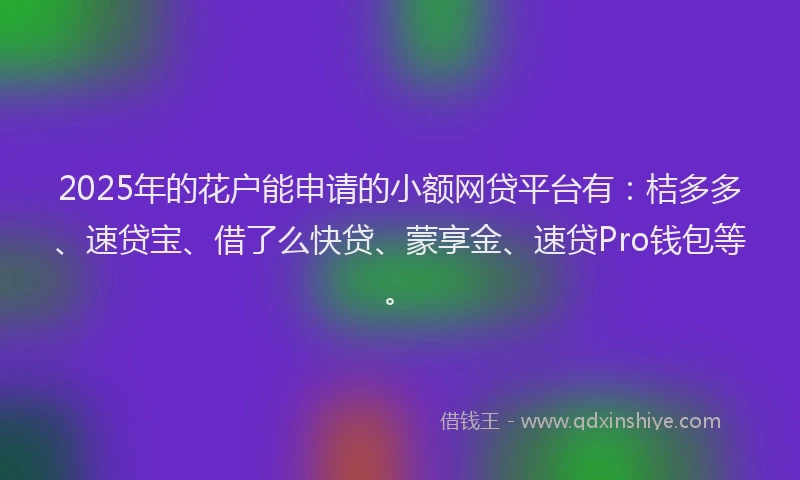 2025年的花户能申请的小额网贷平台有：桔多多、速贷宝、借了么快贷、蒙享金、速贷Pro钱包等。