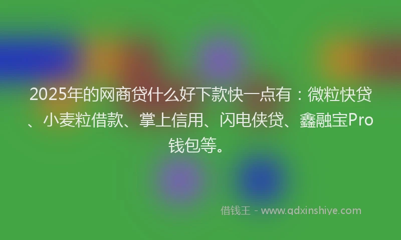 2025年的网商贷什么好下款快一点有：微粒快贷、小麦粒借款、掌上信用、闪电侠贷、鑫融宝Pro钱包等。