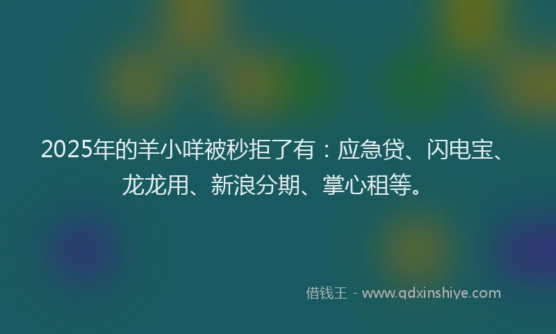 2025年的羊小咩被秒拒了有：应急贷、闪电宝、龙龙用、新浪分期、掌心租等。