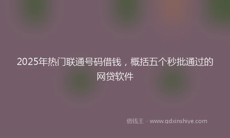 2025年热门联通号码借钱，概括五个秒批通过的网贷软件