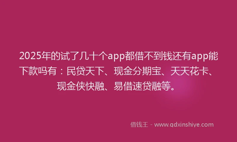 2025年的试了几十个app都借不到钱还有app能下款吗有：民贷天下、现金分期宝、天天花卡、现金侠快融、易借速贷融等。