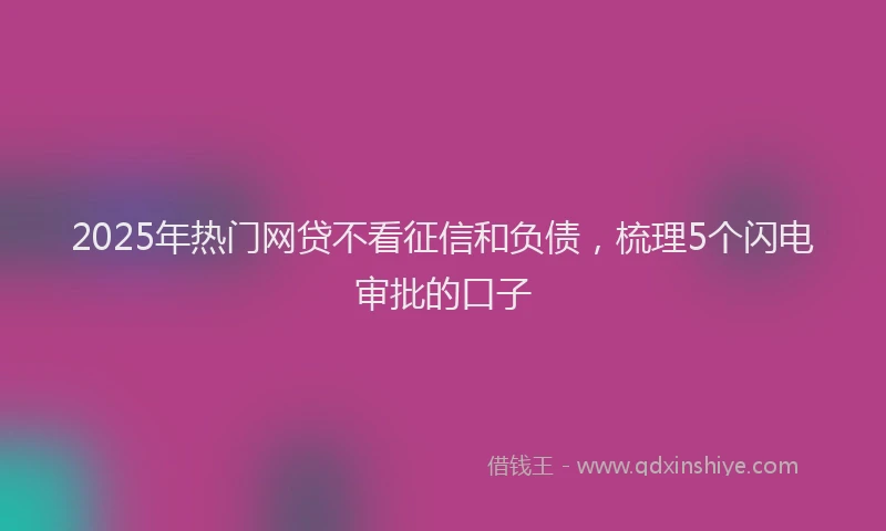 2025年热门网贷不看征信和负债，梳理5个闪电审批的口子