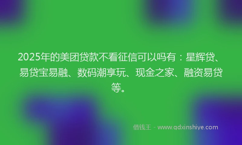 2025年的美团贷款不看征信可以吗有：星辉贷、易贷宝易融、数码潮享玩、现金之家、融资易贷等。