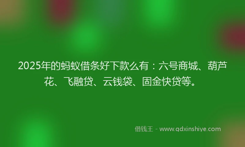 2025年的蚂蚁借条好下款么有：六号商城、葫芦花、飞融贷、云钱袋、固金快贷等。