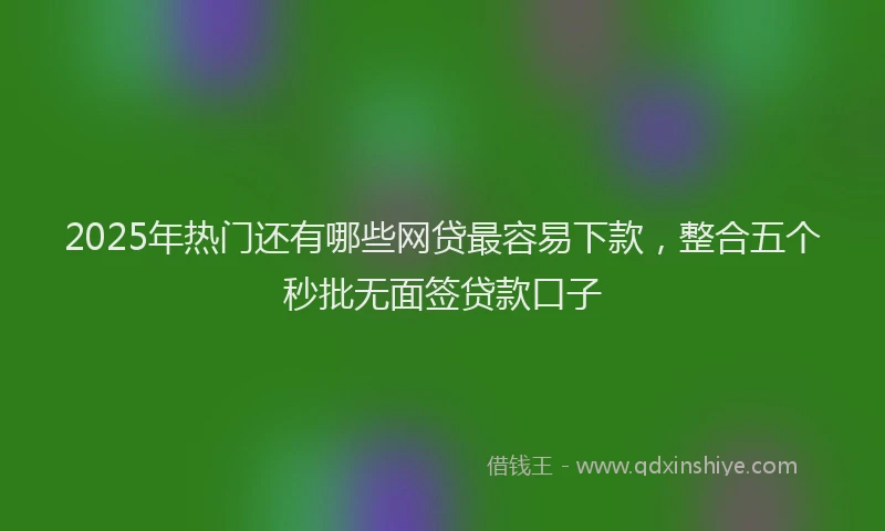 2025年热门还有哪些网贷最容易下款，整合五个秒批无面签贷款口子