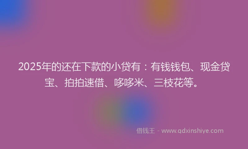 2025年的还在下款的小贷有：有钱钱包、现金贷宝、拍拍速借、哆哆米、三枝花等。