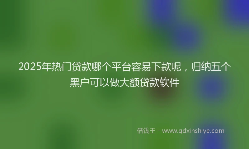 2025年热门贷款哪个平台容易下款呢，归纳五个黑户可以做大额贷款软件