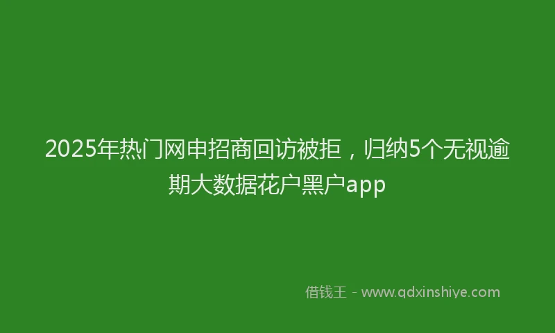 2025年热门网申招商回访被拒，归纳5个无视逾期大数据花户黑户app