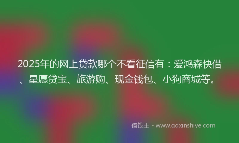2025年的网上贷款哪个不看征信有：爱鸿森快借、星愿贷宝、旅游购、现金钱包、小狗商城等。