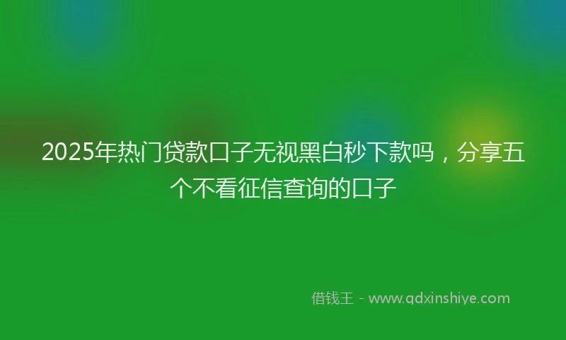2025年热门贷款口子无视黑白秒下款吗，分享五个不看征信查询的口子