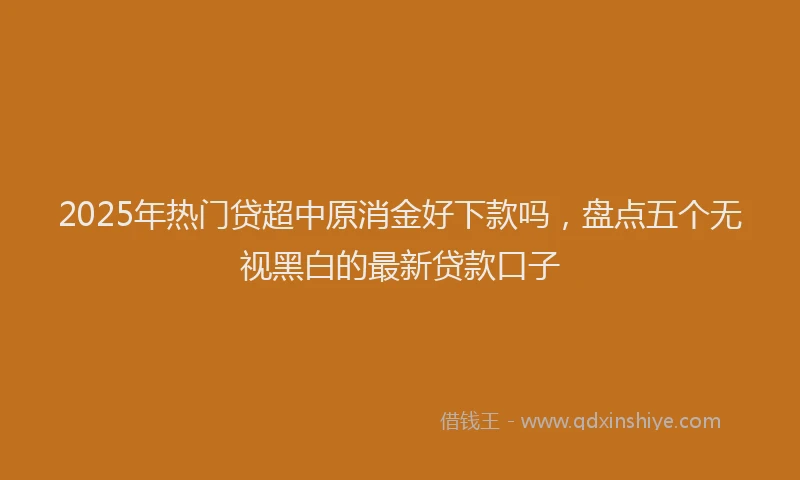2025年热门贷超中原消金好下款吗，盘点五个无视黑白的最新贷款口子