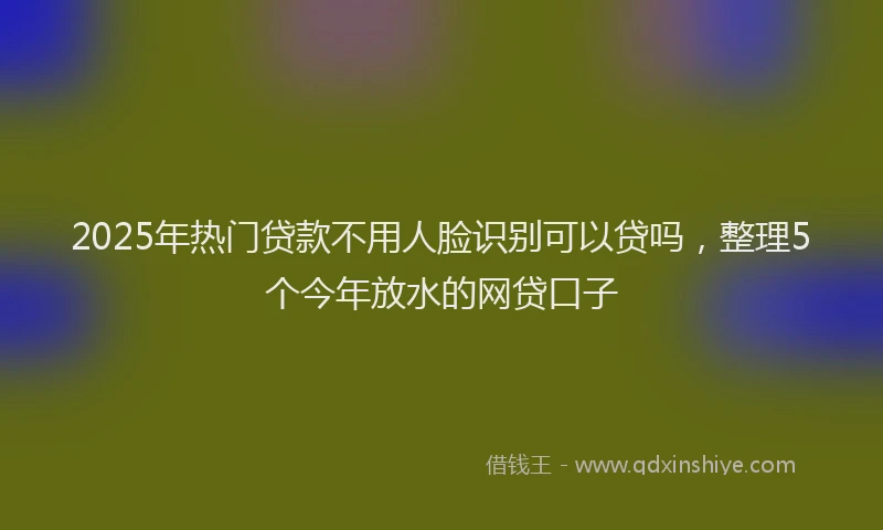 2025年热门贷款不用人脸识别可以贷吗，整理5个今年放水的网贷口子