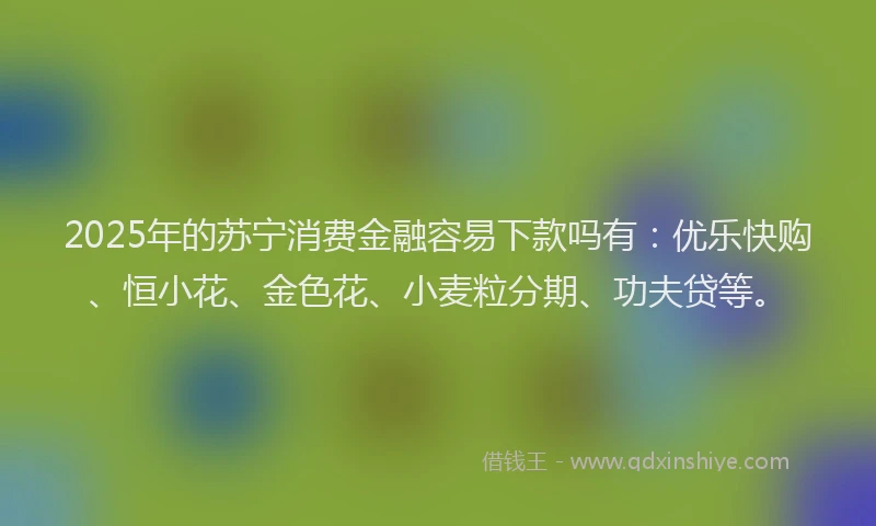 2025年的苏宁消费金融容易下款吗有：优乐快购、恒小花、金色花、小麦粒分期、功夫贷等。