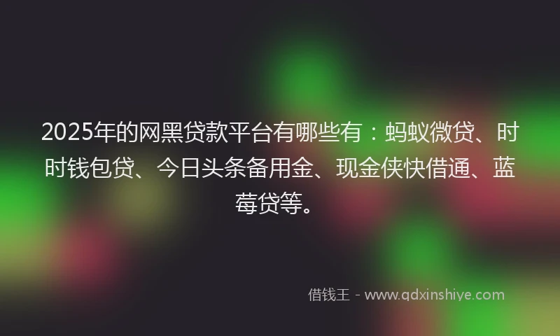 2025年的网黑贷款平台有哪些有：蚂蚁微贷、时时钱包贷、今日头条备用金、现金侠快借通、蓝莓贷等。