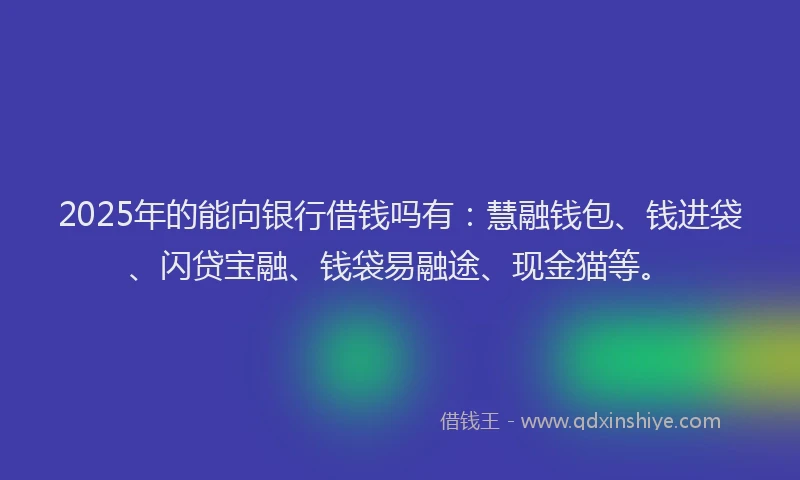 2025年的能向银行借钱吗有：慧融钱包、钱进袋、闪贷宝融、钱袋易融途、现金猫等。
