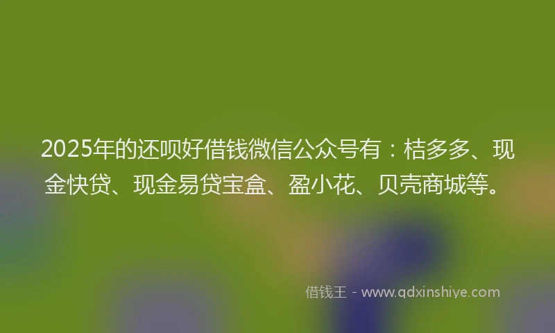 2025年的还呗好借钱微信公众号有：桔多多、现金快贷、现金易贷宝盒、盈小花、贝壳商城等。