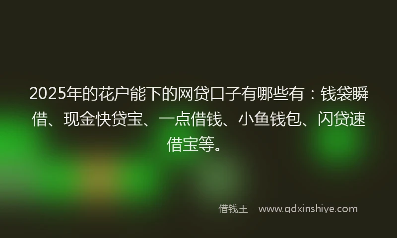 2025年的花户能下的网贷口子有哪些有：钱袋瞬借、现金快贷宝、一点借钱、小鱼钱包、闪贷速借宝等。