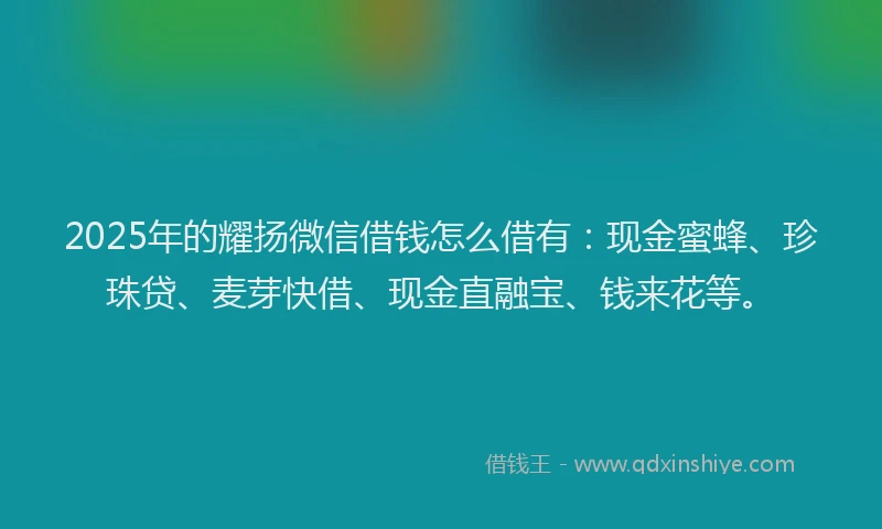 2025年的耀扬微信借钱怎么借有：现金蜜蜂、珍珠贷、麦芽快借、现金直融宝、钱来花等。
