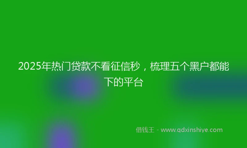2025年热门贷款不看征信秒，梳理五个黑户都能下的平台