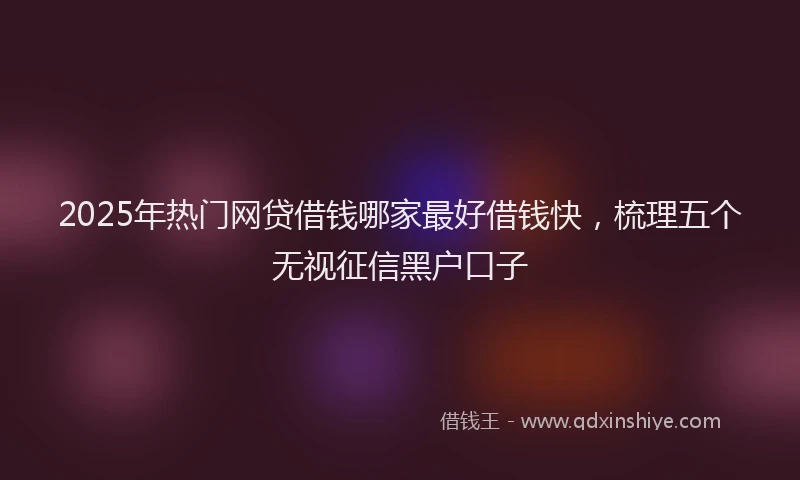 2025年热门网贷借钱哪家最好借钱快，梳理五个无视征信黑户口子